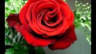 Jedward - Techno Girl