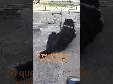 29 de noviembre de 2025