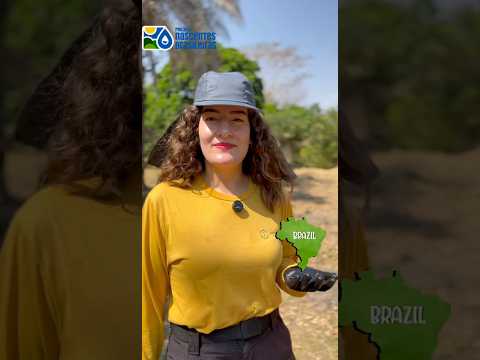 ARENÓPOLIS, GOIÁS, TAMBÉM RECEBE O PROJETO NASCENTES BRASILEIRAS