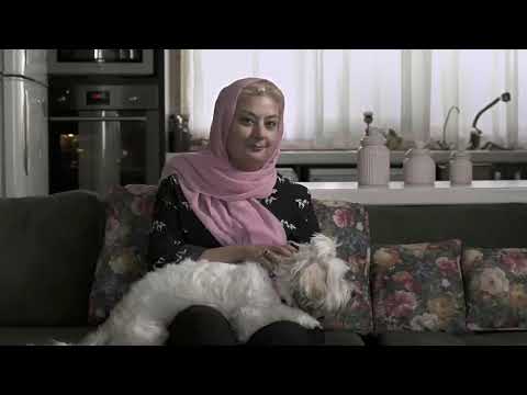 All that's Missing trailer