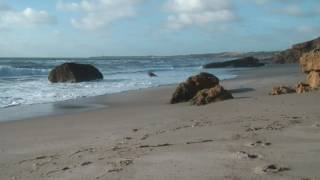 Duane Eddy  -  Peter Gunn