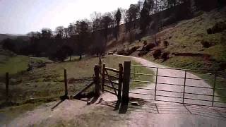 Mountain Biking: Forest Trail Downhill, Long Mynd, Church Stretton