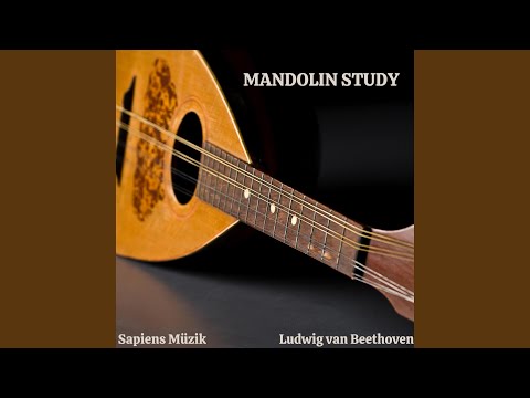 Fidelio Nr. 4 Aria (Hat man nicht auch Gold beineben Mandolin Study)