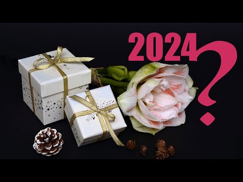 Mis muutub su jaoks 2024 aastal?