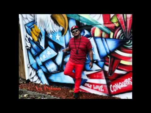 yo primo ft dj joel pa los fekas