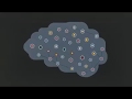 How Life Effects The Brain Mindfulness Can Help