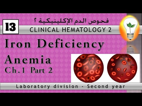 clinical hematology anemia policythemia تقنيات تحاليل الدم الأنيميا