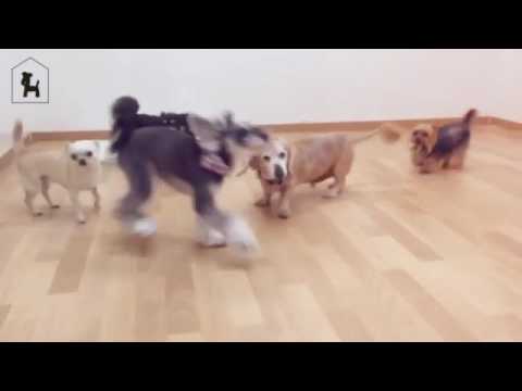 2017/05/26 play room02