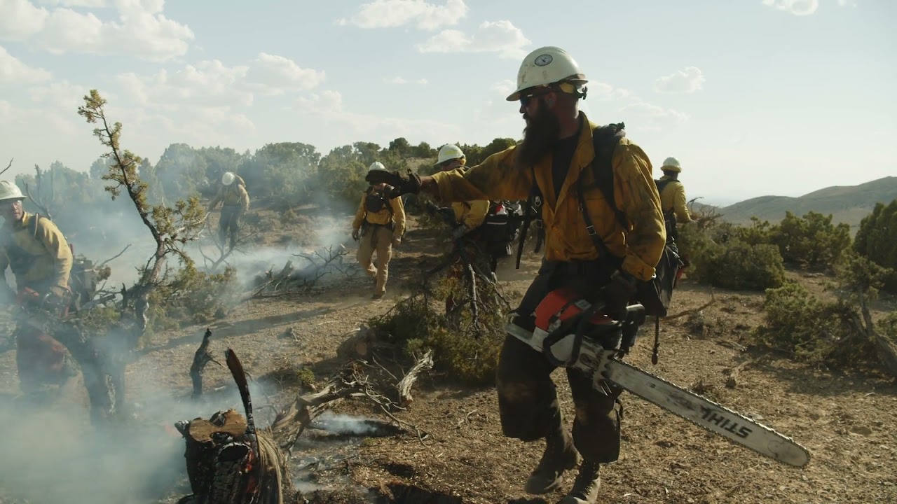 Apply for BLM Wildland Firefighting Positions