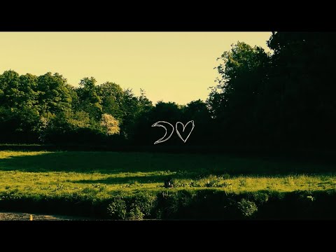 SUMMER ALONE - 6 xans deep lost w you felt bliss but was destroying us [Official Music Video]