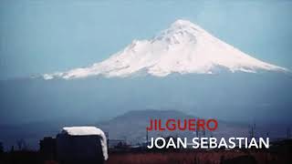 Joan Sebastian - Jilguero Letra