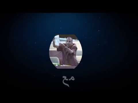 "سبيسيفيك" يطلق قناة "نيميريك"