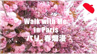 パリ散歩 vol.20 春爛漫、桜満開のパリ植物園 2021 | Walk with Me in Paris Spring in Paris 2021Jardin des Plantes [4K]