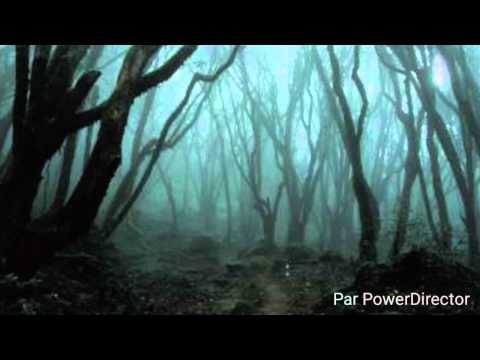 Matinoox - Noir (Freestyle Audio)