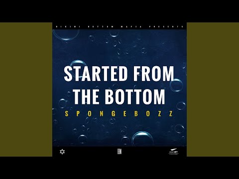 Started from the Bottom