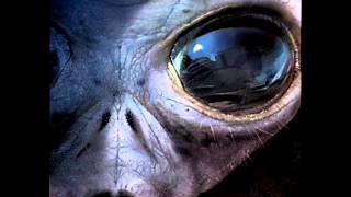 Mindfly - Midnight Nation