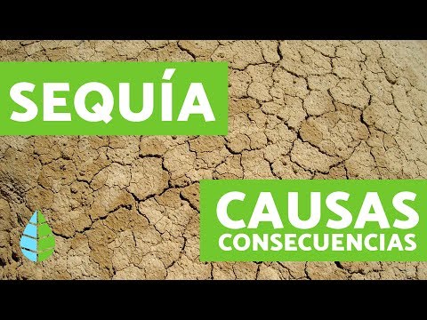 Causes of Droughts - Consequences of Droughts