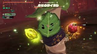 ☆46 ゼルダ無双 封印戦記をやさしく実況プレイ！