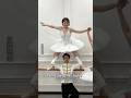 It Was Supposed To Be Ballet