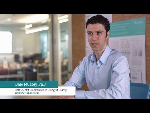 myriad video/presentation/materials