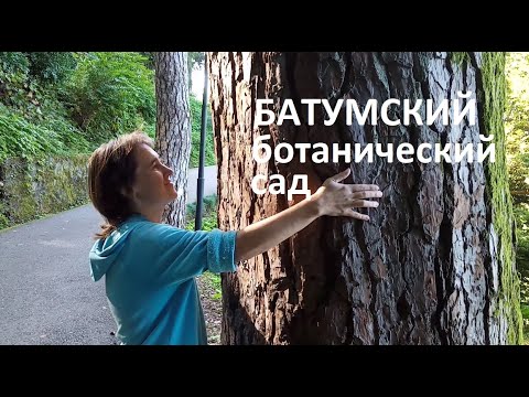 Ботанический сад Батуми