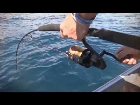 Fishing and Adventure Season 2 Episode 3 - Mokau