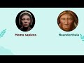 The Evolution Of Human Being