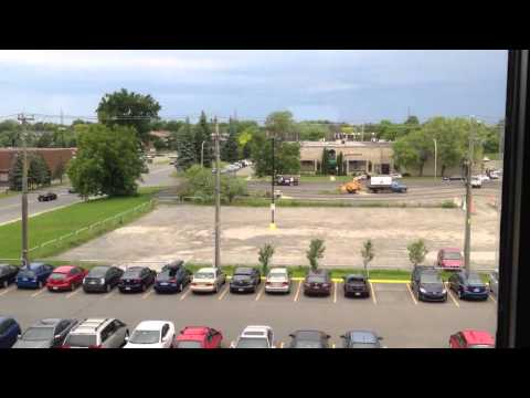 Last moments of a tree