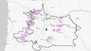 A closer look at how the power outage notification process works