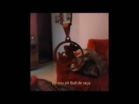 @lilbrun71 - PIT DE RAÇA (Official Audio)