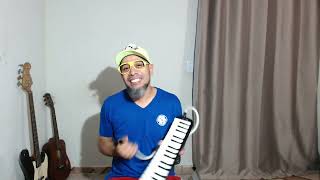 ESCALETA   MUSICALIZAÇÃO DIVERTIDA