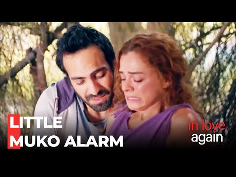 Zeynep's Pain Acts Up - In Love Again Episode 181