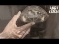 Nannu Kotakuro Titakuro Telugu Karoke Song With Kannada Lyrics FamilyCircus Film 14824tdyamndfwrmt