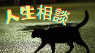 人生相談　恋愛相談　全部してます