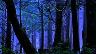 Poets Of The Fall - Dawn