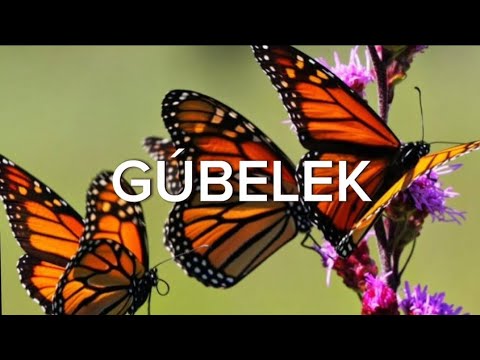 GÚBELEK.BALALAR QOSÍQLARÍ. ГҮБЕЛЕК БАЛАЛАР ҚОСЫҚЛАРЫ.