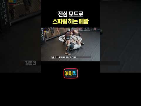 진심 모드로 스파링 하는 메랍