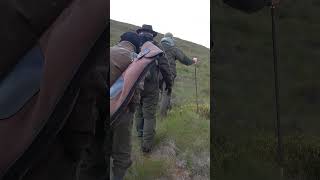 Hirschjagd in Schottland 🏴󠁧󠁢󠁳󠁣󠁴󠁿 von  ⁨@copterpro10⁩