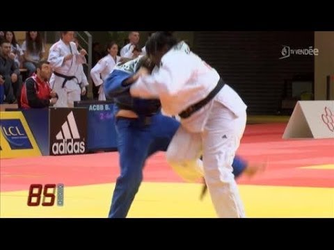 Championnats de France de Judo 2014 (Vendée)