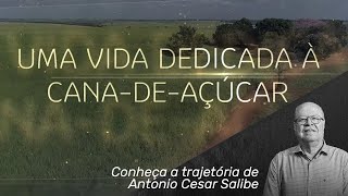 Uma vida dedicada à cana-de-açucar