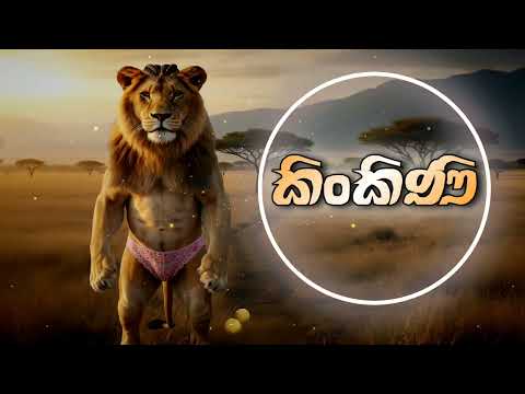 Asha-Kingkini(කිංකිනි)