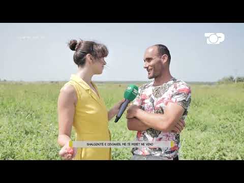 Pse shalqinjtë e Divjakës, janë më të mirët në vend? - Pushime On Top