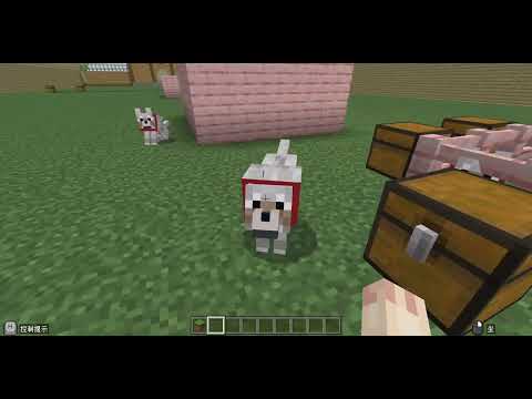 新進國小 麥塊SDGs聯合國永續發展目標 王O菱-麥塊SDGs程式競賽-112學年第二學期