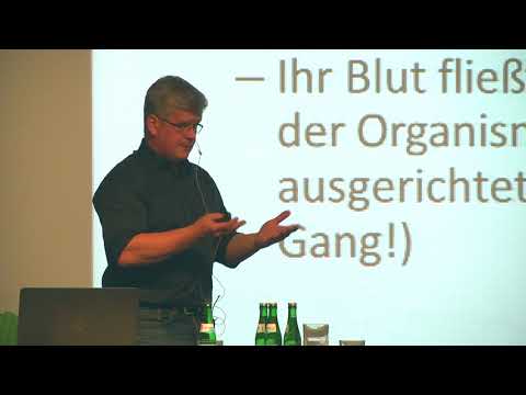 Nationalpark Akademie im Oktober 2018 - "Fliegende Jäger der Nacht"