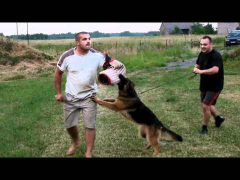 Angie Jan Bor Land wnuczka Ghandi von Arlett