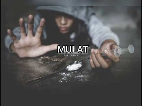 Mulat - Akki x Iver