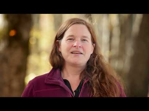 How Volunteers Manage Water on the Appalachian Trail
