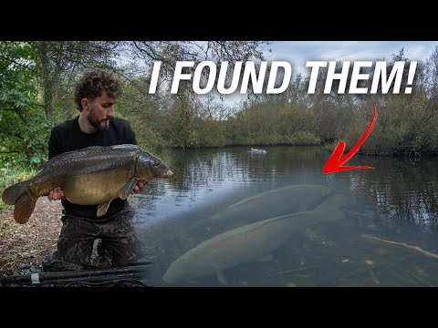 Carp Fishing At Thorney Weir - Big UK Day Ticket Carp!