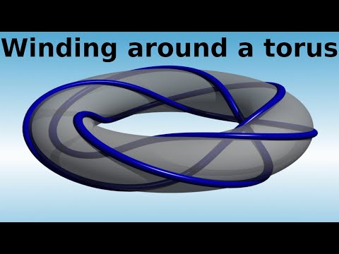 What are...torus knots?