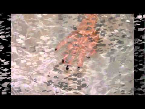 Hands of Time-Rachel Diggs-Pretty Little Liars